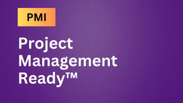 curso-de-pmi-project-management-ready